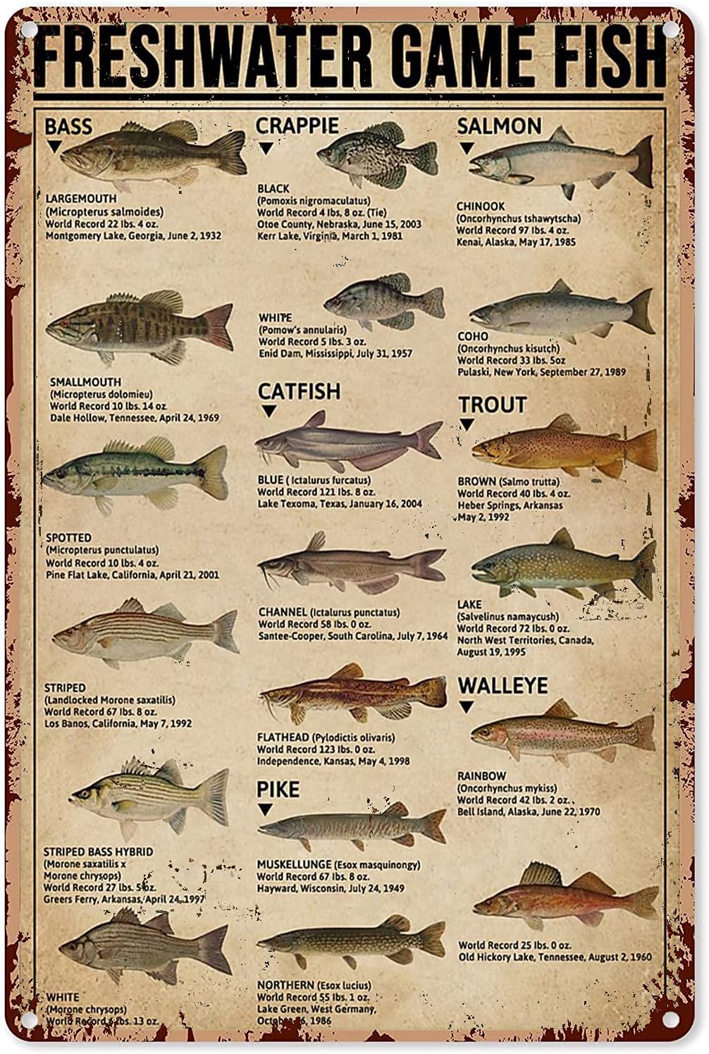 Y1,Fishing Art Posters Metal S - đánh giá và giá Retro Gaming Us